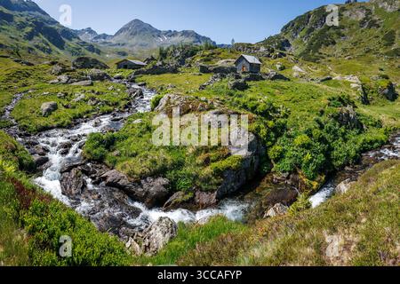 Mountain stream Giglachbach flowing through green valley in Styria, Austrian Alps Stock Photo