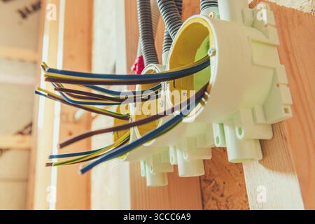 Electric wires are organized in junction boxes as part of home wiring during a construction project. This process ensures safety and efficiency in ele Stock Photo