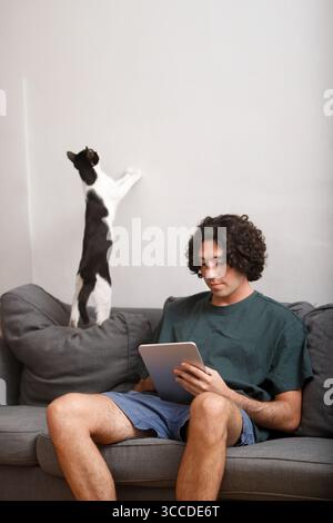 Man using tablet on sofa with playful cat scratching wall Stock Photo