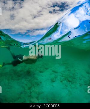 Snorkeler exploring the seabed in shallow water with clouds reflecting on the surface Stock Photo