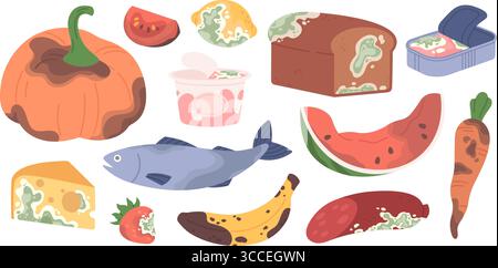 Damaged food. Cartoon expired products, organic garbage ingredients. Rotting vegetables and fruits, dairy, cheese and preserves with mildew. Racy Stock Vector