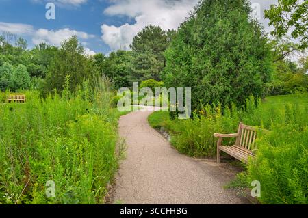 Tall grasses lining an American Midwest prairie path. Stock Photo