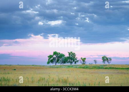 Colorado Rocky Mountain sunset over Arsenal wildlife refuge - colorful prairie grass pink and blue sky / skies Stock Photo