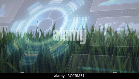 Displaying green blades in field, overlaying radial indicator, charts, map, waveform and hex grid Stock Photo