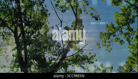 Showing central tree trunk supporting green leaves in woodland, with binary code and grid overlays Stock Photo