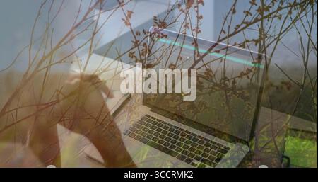 Concentrating mid adult woman working on laptop at home office, with notebook pen and twig overlay Stock Photo