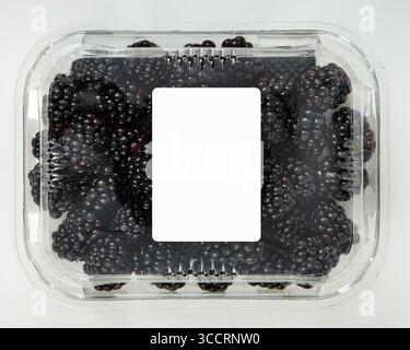 Fresh blackberries in a clear plastic box with a blank white label isolated nature background with clipping path Stock Photo