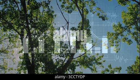 Displaying data overlay over forest canopy with bar charts line graphs gridlines and waveforms Stock Photo
