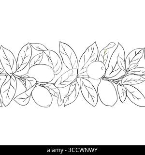 Cupuacu Outline Horizontal Seamless Pattern Stock Vector