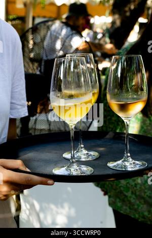 Elegant orange-pink cocktails served in martini glasses, garnished with dried citrus slices and purple flower petals, captured in a warm and vibrant b Stock Photo