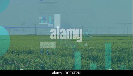 Displaying translucent data graphs over yellow crops stretching on farm horizon with wind turbines Stock Photo