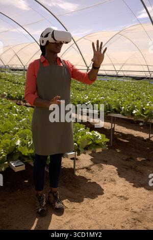 Agricultural worker wearing VR headset interacting with interface among lettuce trays in greenhouse Stock Photo