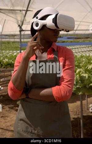 Woman wearing VR headset monitoring hydroponic trays filled with leafy greens inside greenhouse Stock Photo