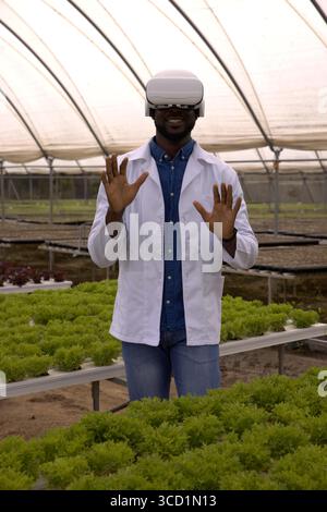 VR headset displaying holographic data above hydroponic lettuce benches inside greenhouse Stock Photo