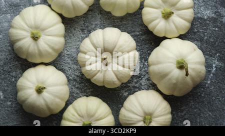 Small white Baby boo mini pumpkins placed in circle on dark stone table. Top view, flat lay Stock Photo
