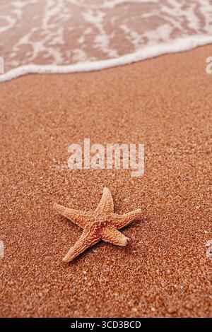 Starfish lying on sand and soft surf wave on background a lot of space for text Stock Photo