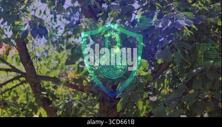 Displaying shield and padlock with circular maze over tree canopy, floating numeric code fragments Stock Photo