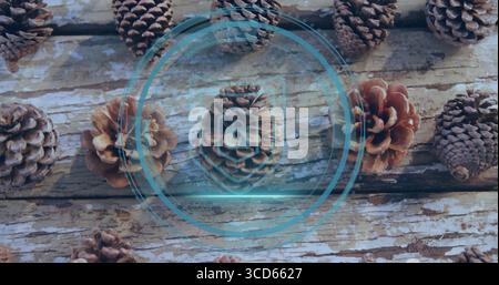 Displaying central pine cone showing digital padlock overlay on wooden plank, with pine cones Stock Photo