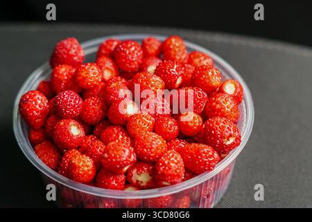 Close-up of freshly picked wild strawberries in a transparent plastic bowl, placed on a car seat, highlighting their vibrant red color and texture Stock Photo