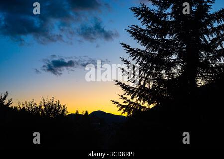 Spruce tree in the mountains is silhouetted against the colourful twilight sky Stock Photo