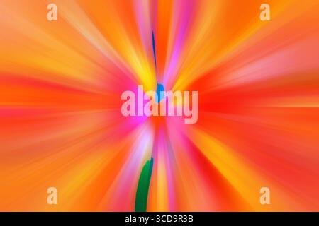 Abstract radial blur zoom in orange tones. Stock Photo
