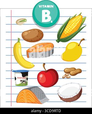 Vector illustration of vitamin B6 food sources including salmon, banana, corn, apple, potato, and yogurt in a flat, colorful style Stock Vector