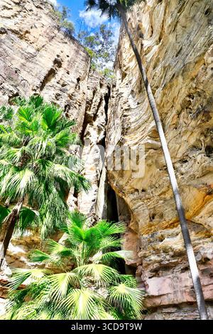 Carnarvon gorge sub tropical landscape Stock Photo