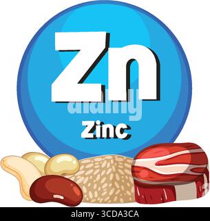 Vector illustration of zinc symbol with various zinc-rich foods, including nuts, seeds, and meat, in a clean, flat design style Stock Vector