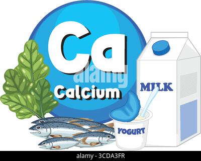 Vector illustration of calcium sources including milk, yogurt, leafy greens, and fish, with bold colors and clean, cartoon-style composition Stock Vector