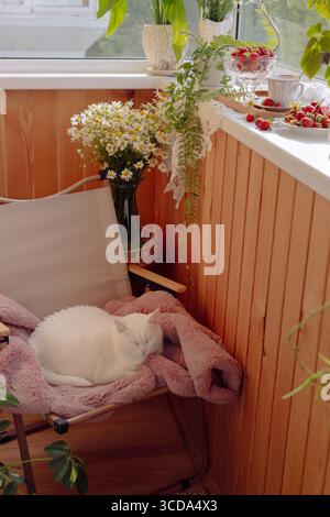 A white cat rests peacefully on a soft blanket in a cozy balcony corner. Fresh flowers decorate the space, and sunlight streams in, creating a warm, i Stock Photo