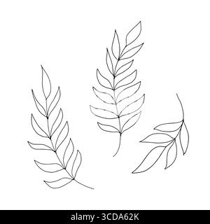 A branch with delicate thin leaves, sketch in a simple style. Vector illustration. The branches of an olive tree and willow tree are isolated on white Stock Vector