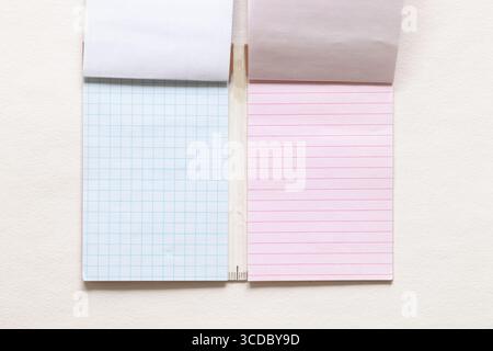 Two open blank notebooks such as blue squared on the left and pink lined on the right, lying on white paper, empty space for text Stock Photo