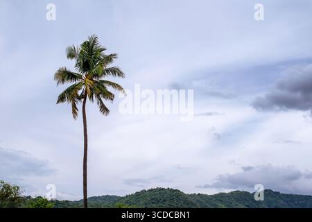 orange sky, evening, dusk, dark clouds, electric pole, background image Stock Photo
