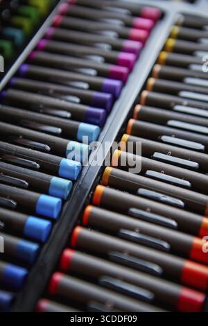 Rows of professional colorful crayons placed in order in a case Stock Photo