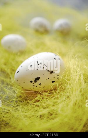 White Easter eggs with freckles placed on the yellow hay. Selective focus shot Stock Photo