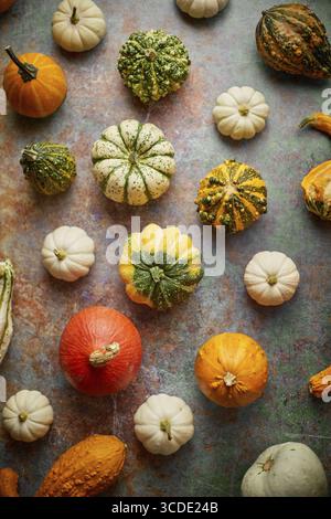 Various colorful mini pumpkins placed on rusty background. Creative Top view flat lay autumn composition Stock Photo