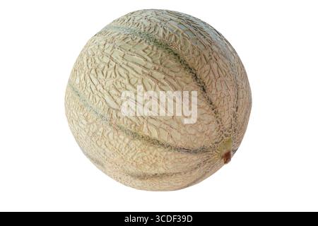 Whole cantaloupe melon isolated on white background Stock Photo