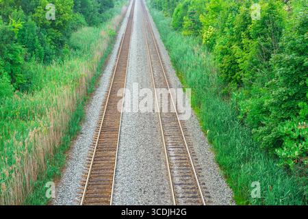 Two railway tracks stretch into the distance, surrounded by dense green vegetation and tall grasses on both sides. Stock Photo