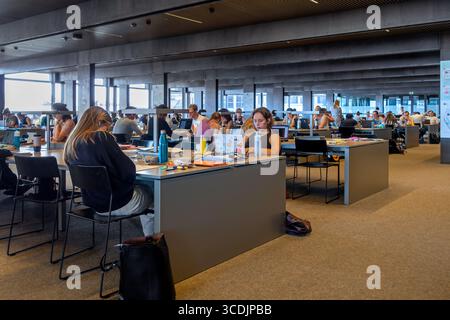 University students with laptops studying in public library De Krook for their re-examination during the summer holidays in the city Ghent, Belgium Stock Photo