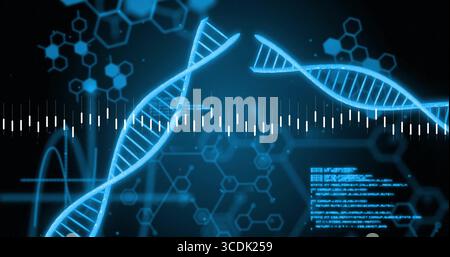 Glowing blue DNA double helix crossing interface, with waveform line, hex diagrams and code panel Stock Photo