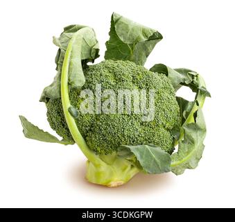 broccoli path isolated on white Stock Photo