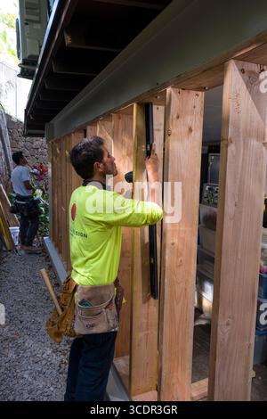 Young man using level to check the plumb of 2x6” lumber during construction, Honolulu, Oahu, Hawaii, USA Stock Photo