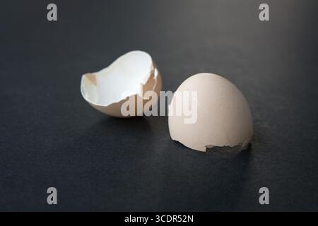 Beige chicken egg shell broken or cracked, isolated on dark surface. Stock Photo