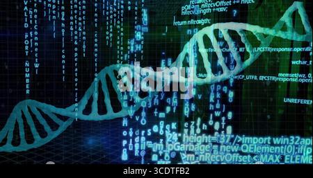 Displaying green-blue DNA helix twisting above dark 3D grid plane, with programming code streams Stock Photo
