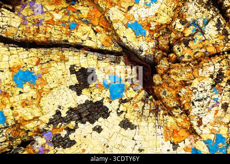 Old, dry, cracked stump, with old paint. Stock Photo