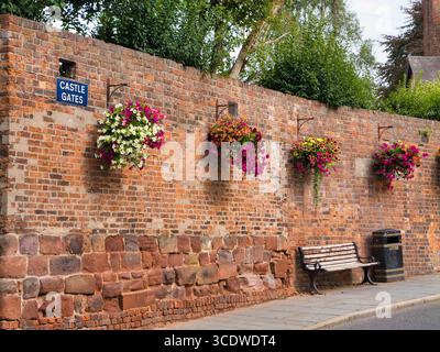Shrewsbury, UK - Aug 07 2025: Vibrant summer hanging baskets brighten the red-brick Castle Gates wall beside a bench in Shrewsbury, England. Afternoon light adds warm, cheerful color. Stock Photo