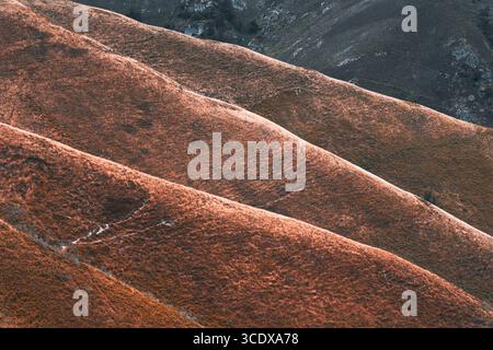 Rolling hills covered in warm orange-brown grass with soft light accentuating the wavy ridges, creating an abstract and textured natural landscape pat Stock Photo