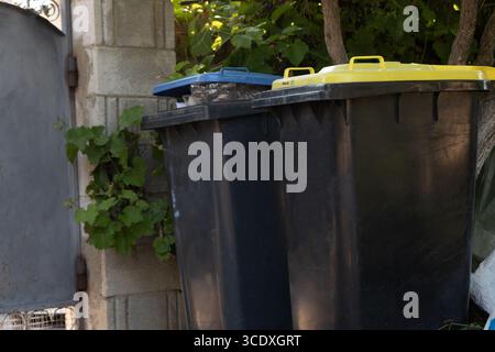 Two large plastic bins with blue and yellow lids beside a wall, surrounded by greenery, suitable for eco, waste management, and recycling themes. Stock Photo