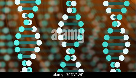 Displaying three DNA helices with turquoise-white nodes linked by dark green bars in digital space. Scientific, futuristic, biotechnology, innovation, Stock Photo