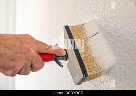 Close-up of a hand. A painter paints a masonry wall with white paint using using the paintbrush. Construction industry. Stock Photo